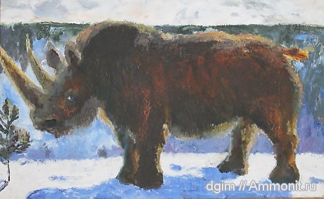 шерстистые носороги