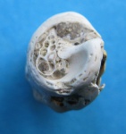 Природный "шлиф".