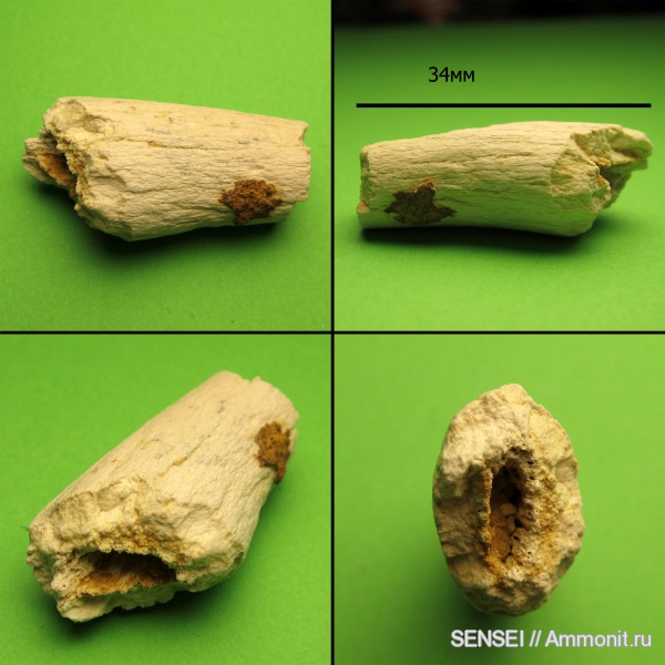 Карьер птицефабрики "Крымская".