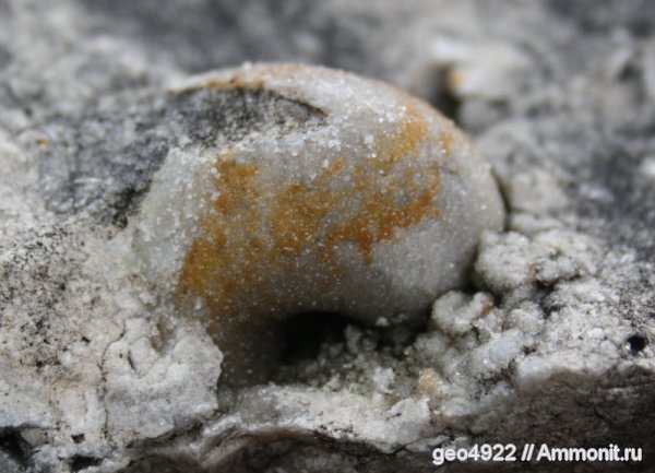 Находки Владимирской области