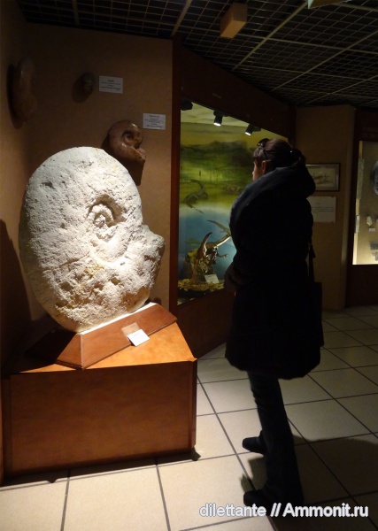 музеи, мезозой