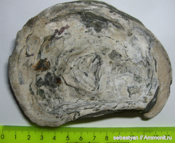 Карачаево-Черкессия