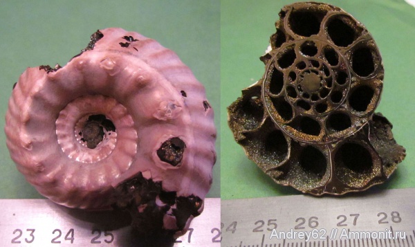 Подарки приобретения