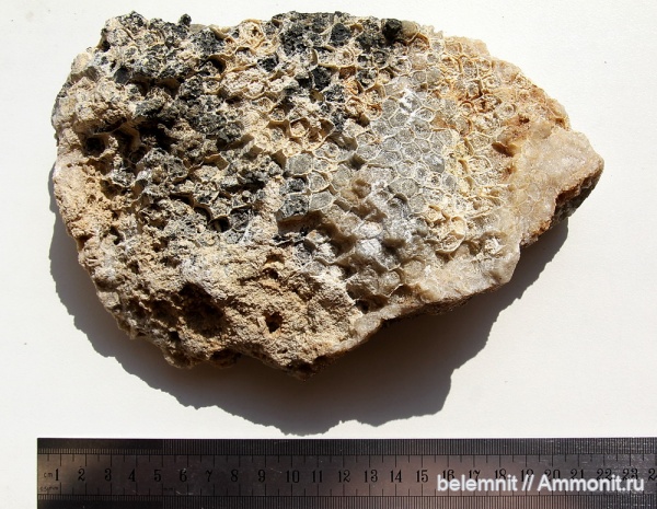 ПОМОЩЬ В ОПРЕДЕЛНИИ