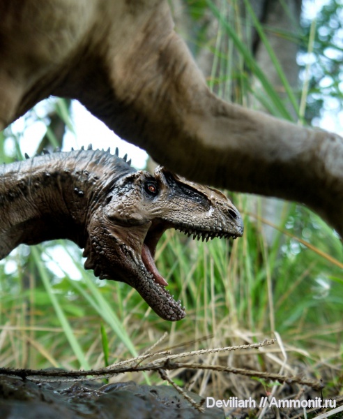 рептилии, динозавры, Allosaurus