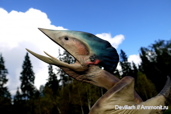 рептилии, птерозавры, Tupuxuara