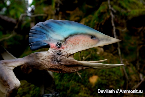 рептилии, птерозавры, Tupuxuara