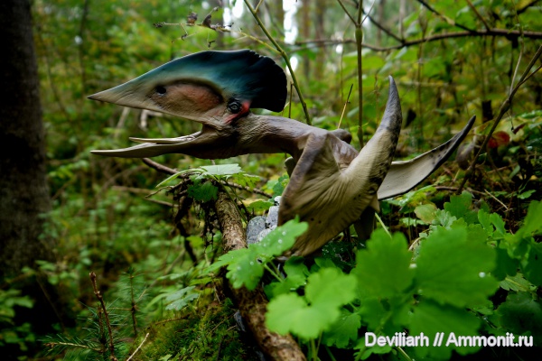 рептилии, птерозавры, Tupuxuara