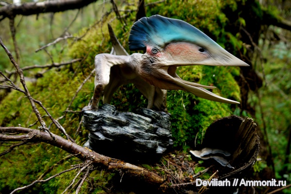 рептилии, птерозавры, Tupuxuara