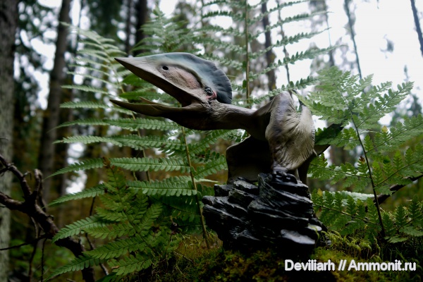 рептилии, птерозавры, Tupuxuara