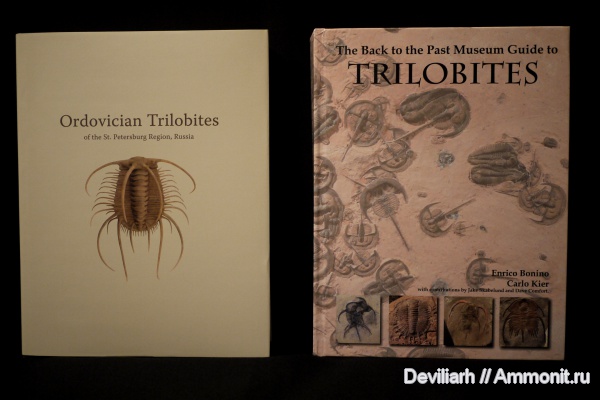 трилобиты, членистоногие