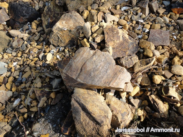 Приморский край