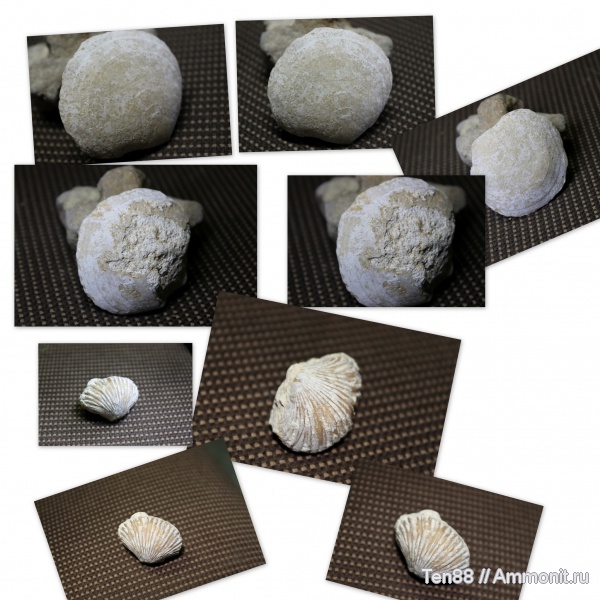 Адыгея, р. Белая