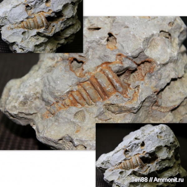 Горячий Ключ, р. Каверзе