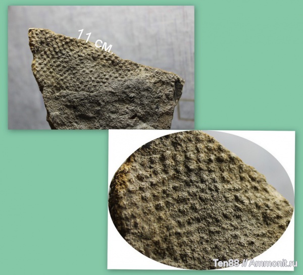 Горячий Ключ, р. Каверзе