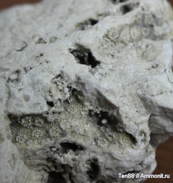 Адыгея, р. Белая