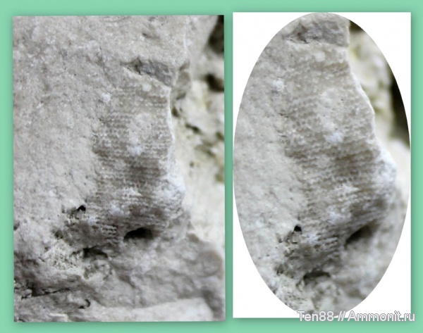 Адыгея, р. Белая