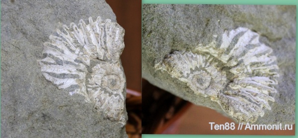 р. Губс, Мостовский район