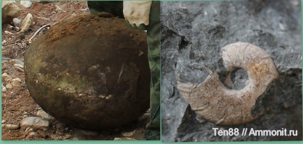 р. Губс, Мостовский район