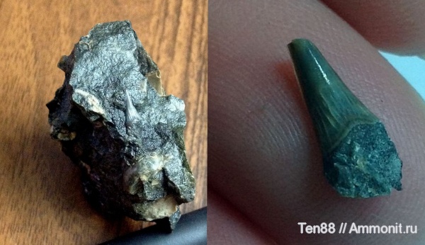 Краснодарский край, р. Курджипс