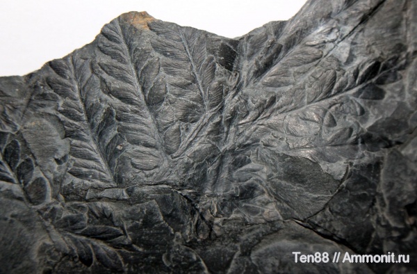 Подарки из Карачаево-Черкесии