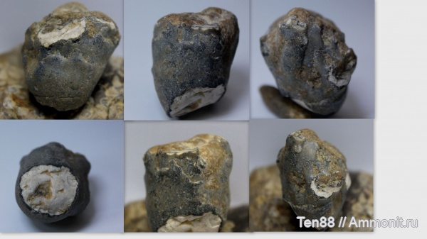 мел, мезозой, апт, р. Губс Мостовской район