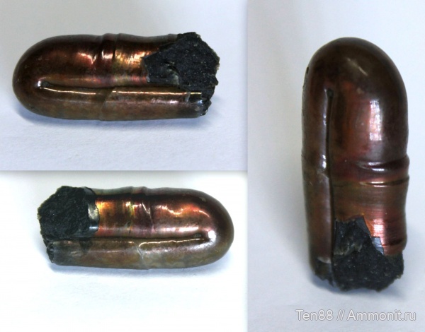 аммониты, мел, мезозой, апт, Ptychoceras, р. Губс Мостовской район