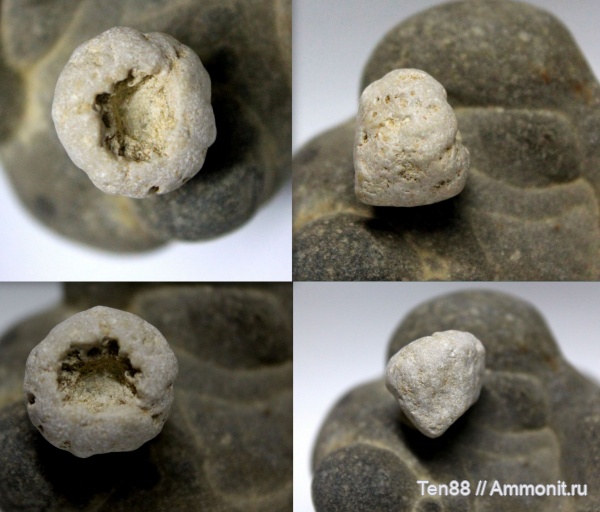 мел, мезозой, апт, р. Губс Мостовской район