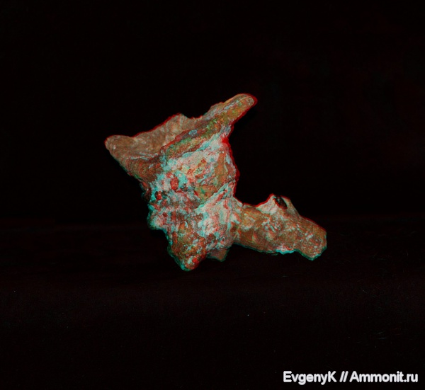 губки, Саратов, Саратовская область, 3D-изображения, сантон, Rhizopoterion, Rhizopoterion santonicum, Santonian