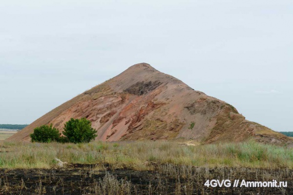 триас, Triassic