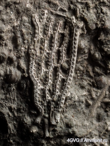 карбон, Московская область, Гжель глиняный карьер