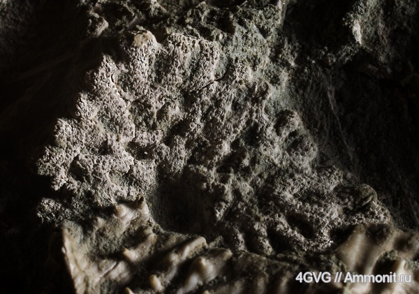 карбон, Московская область, Гжель глиняный карьер