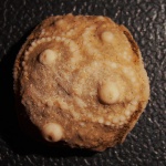 таблички ежа