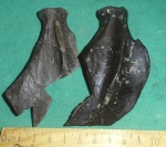 Лопатки тюленя