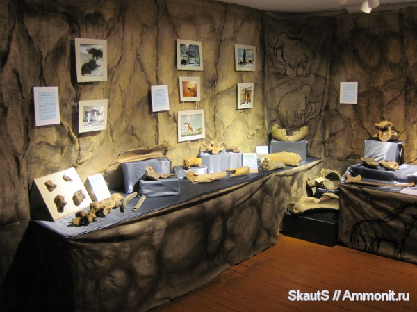 млекопитающие, неоплейстоцен