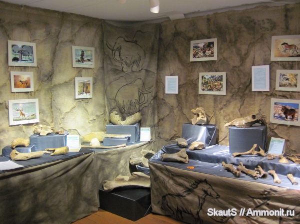 млекопитающие, неоплейстоцен