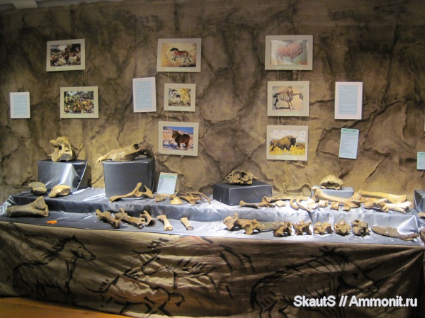 млекопитающие, неоплейстоцен