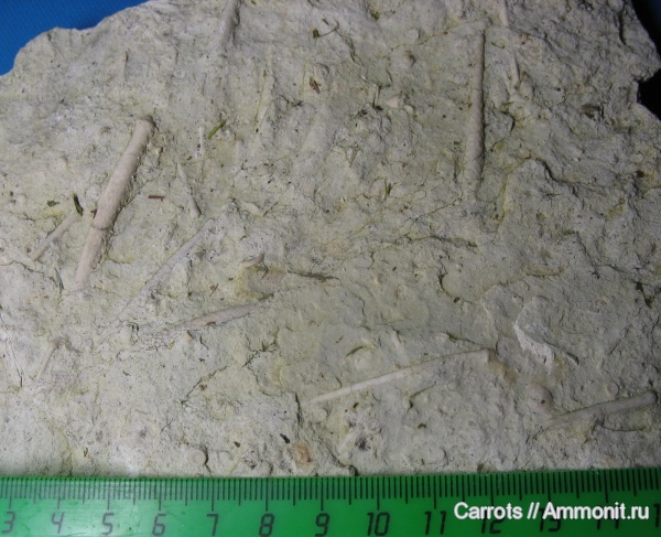 Касимовский район