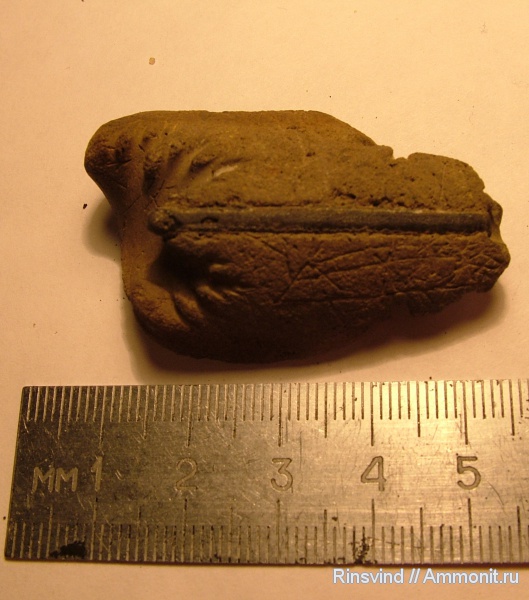 Первая вылазка!