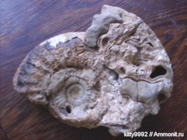 Курская область