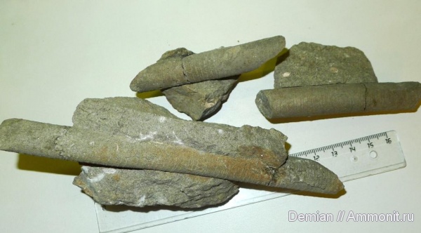 Краснодарский край