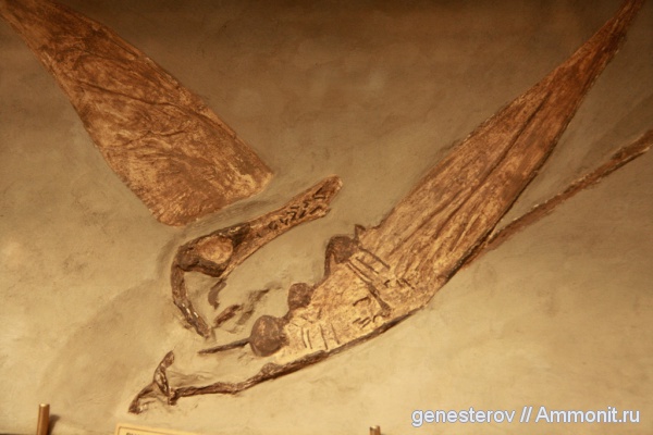 птерозавры