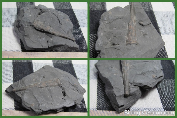 ?, Донецк, Лидиевка