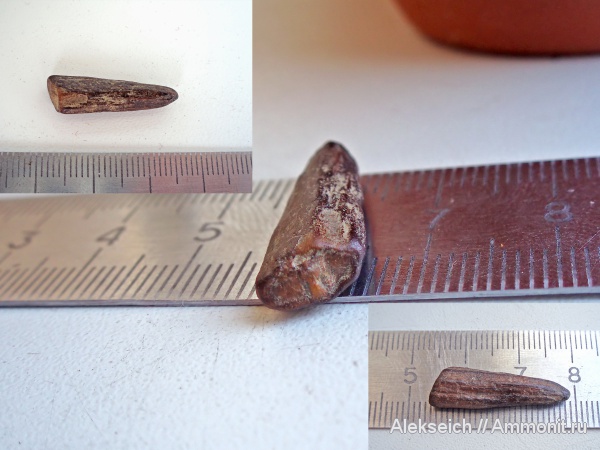 зубы, Украина, ?, Кременчуг, teeth