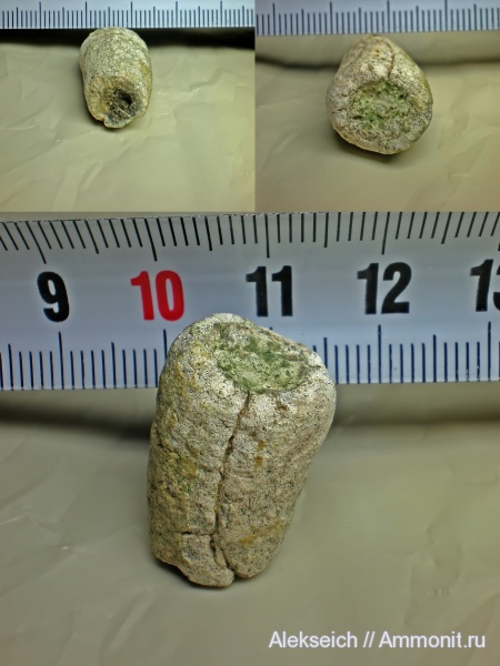 палеоген, губки, Украина, Porifera, Кременчугский район