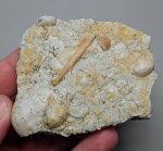 Плитка из Цемгиганта