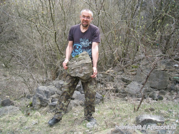 карбон, окаменевшее дерево