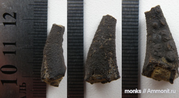 юра, Крым, крабы, Судак, Jurassic