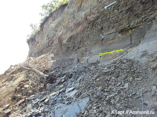 Аптский ярус Саратовской области