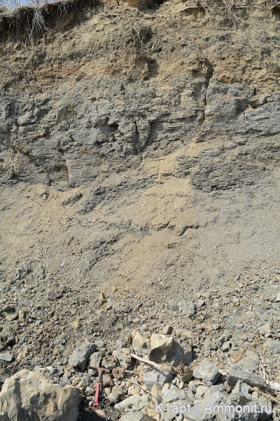 нижний мел, апт, нижний апт, Алексеевка